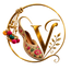 virasatejutti - Home